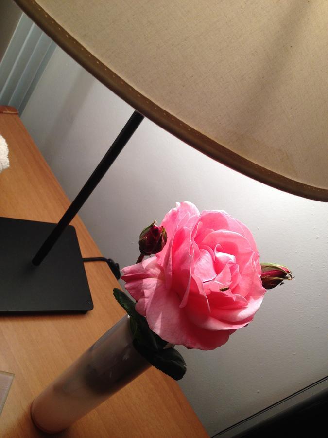 アンツィオCasa Di Ilariaアパートメント エクステリア 写真